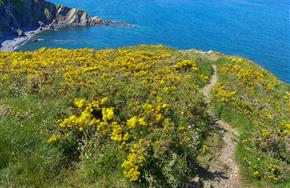 Camping Paimpol Bretagne