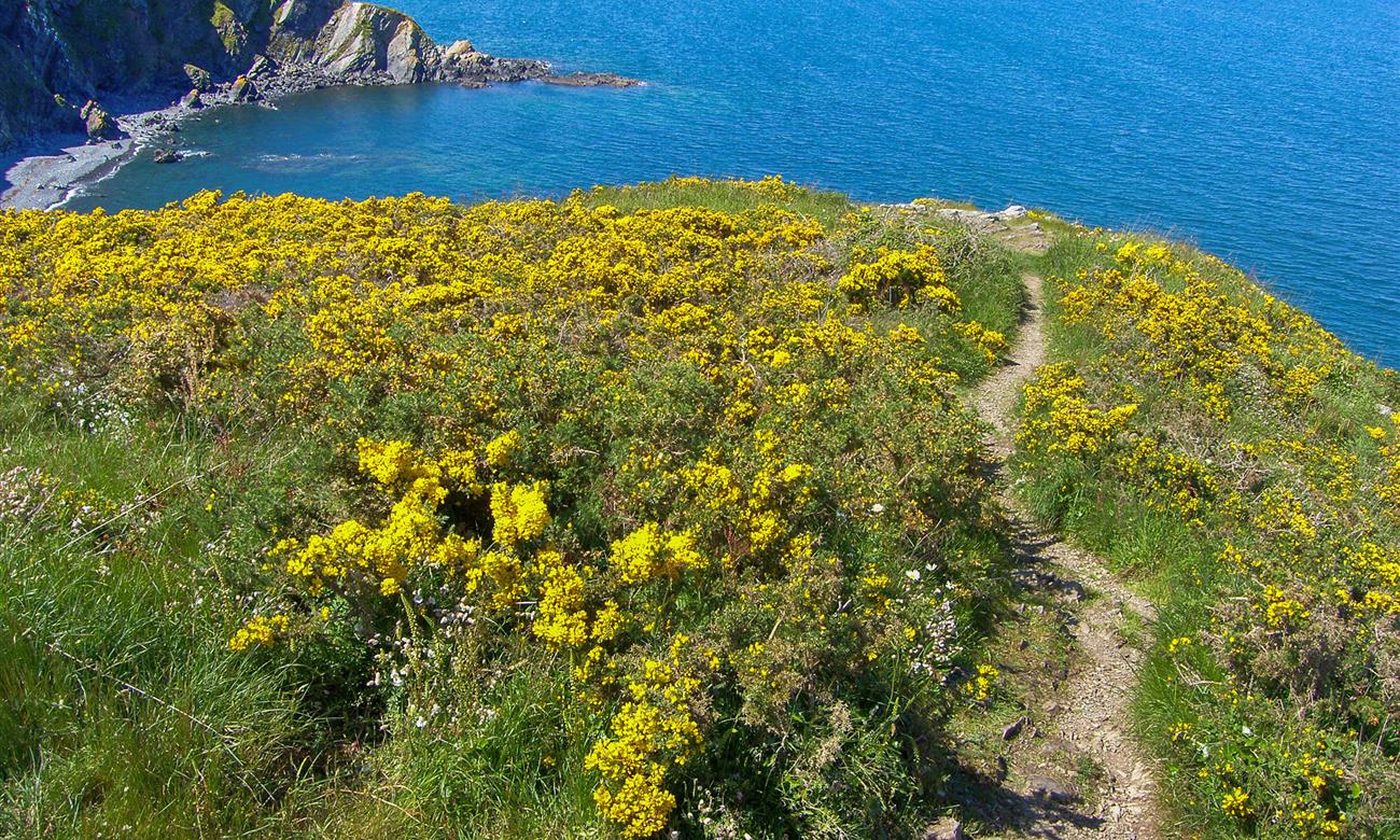 Camping Paimpol Bretagne