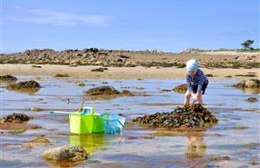 Camping Paimpol Bretagne