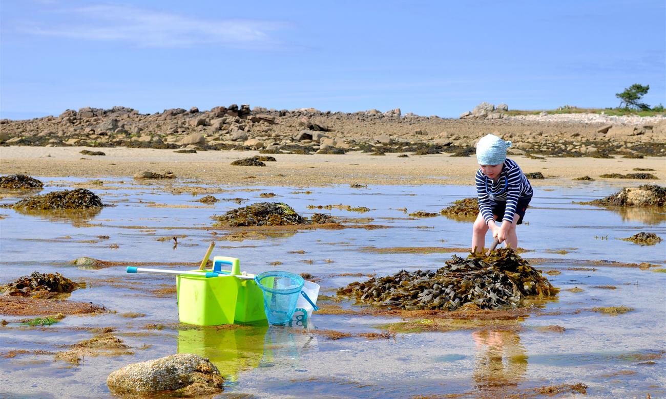 Camping Paimpol Bretagne