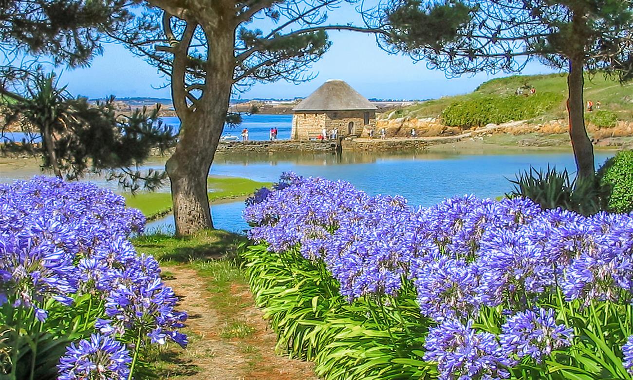 Camping Paimpol Bretagne