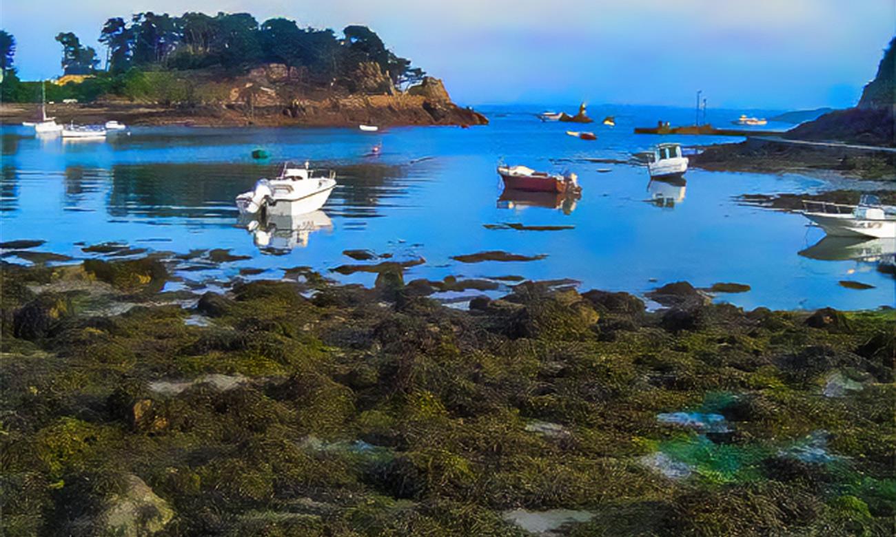 Camping Paimpol Bretagne