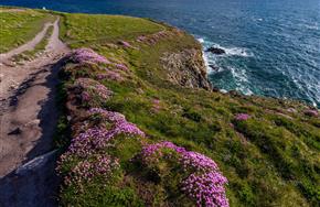 Camping Paimpol Bretagne