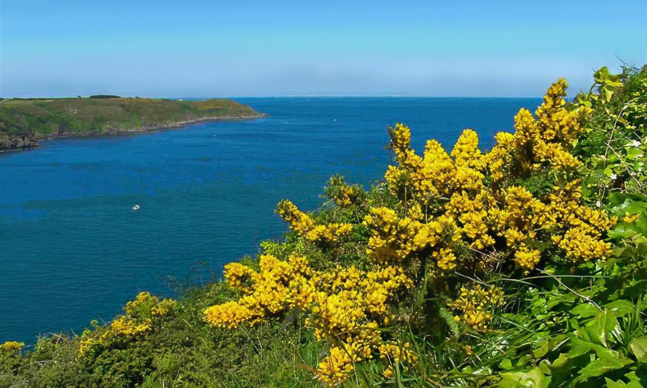 Camping Paimpol Bretagne