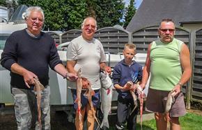 Camping Paimpol Bretagne
