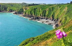 Camping Paimpol Bretagne