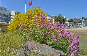 Camping Paimpol Bretagne
