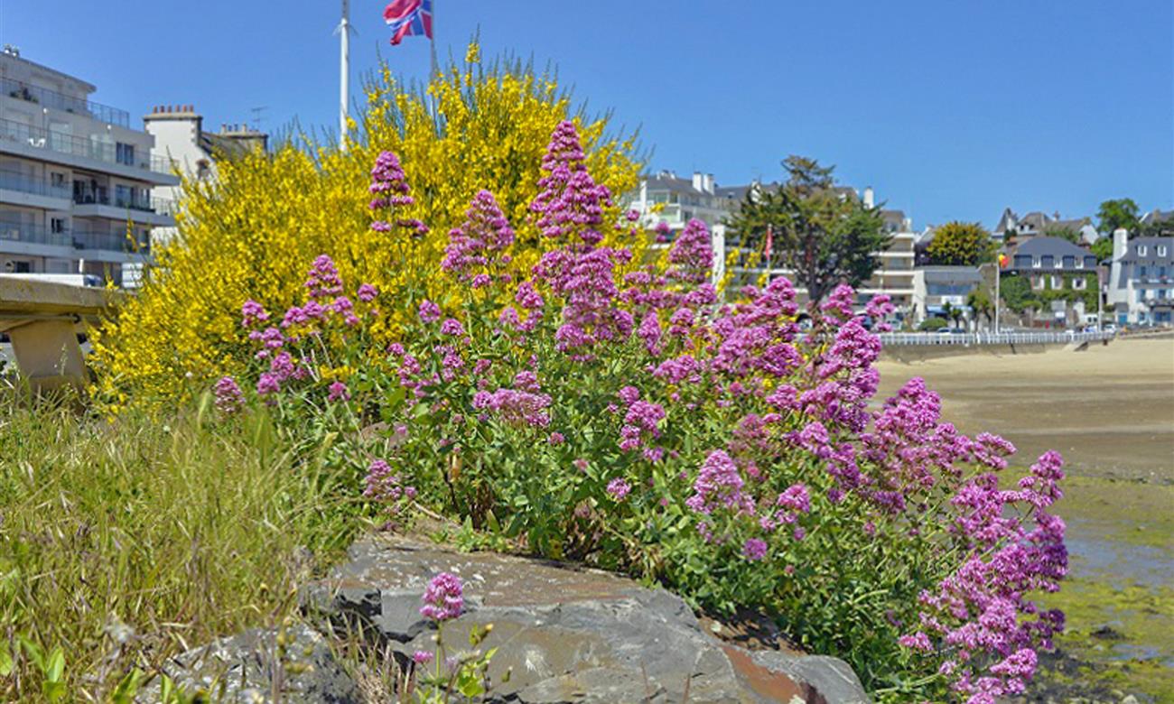Camping Paimpol Bretagne