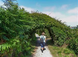 Camping Paimpol Bretagne