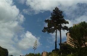 Camping Paimpol Bretagne