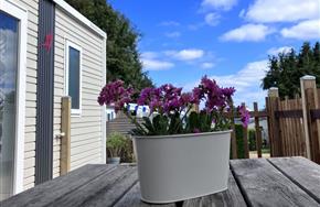 Camping Paimpol Bretagne